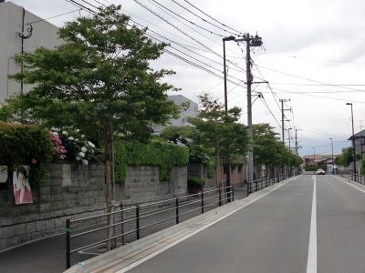 壱岐団地内街路