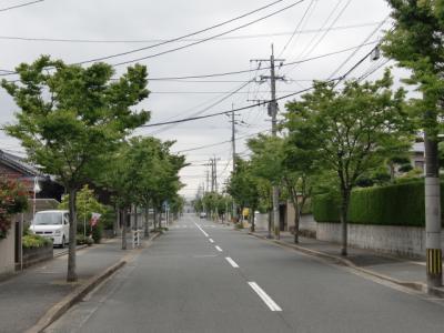 横浜街路
