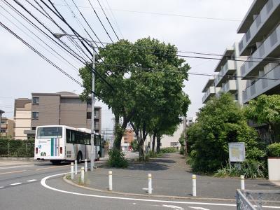 十郎川団地街路