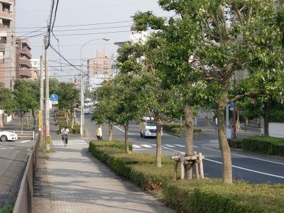 鳥飼姪浜線