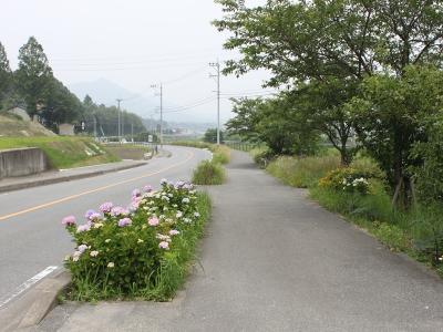 内野次郎丸弥生線