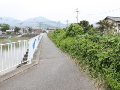 野方２丁目街路