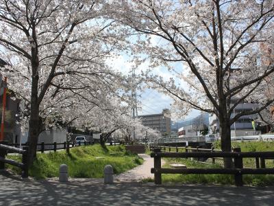 樋井川５丁目街路