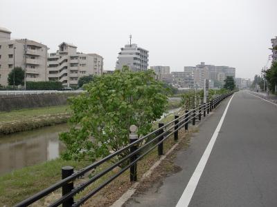 樋井川左岸通り