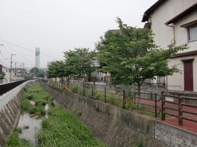 一本松川河畔街路