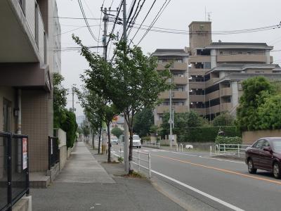 野多目片江線