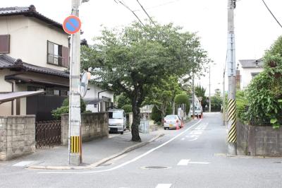 御畠山住宅桜街路