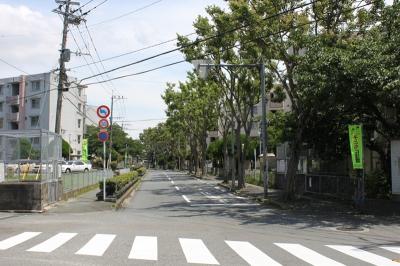 弥永団地街路