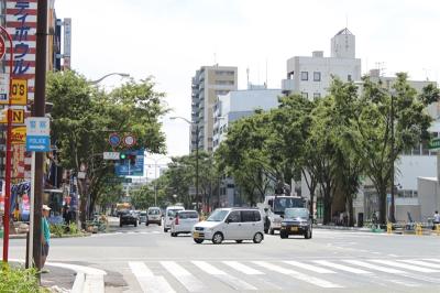 日赤通り