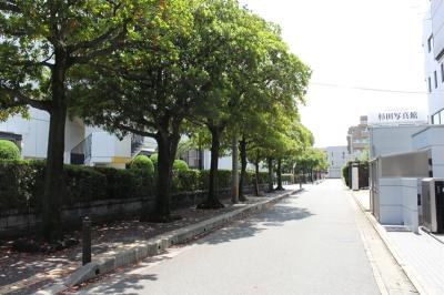南市民センター街路