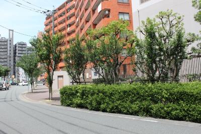 那ノ川３０８線