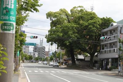 大橋老司線