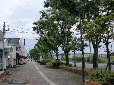 柏原街路