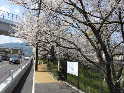 平尾桧原線