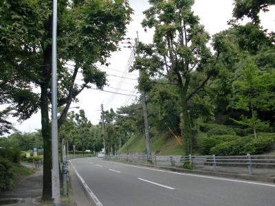 博多の森２号線
