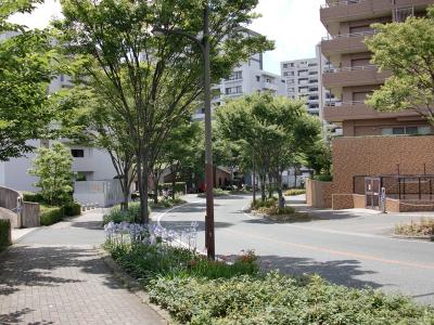 野多目台団地内街路