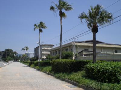 城浜中央分離帯