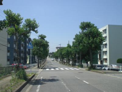 城浜ナンキン通り
