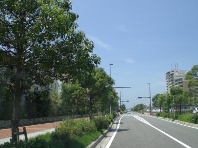 アイランド東１号線