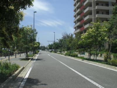 アイランド東３号線