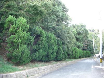 陣越緑地