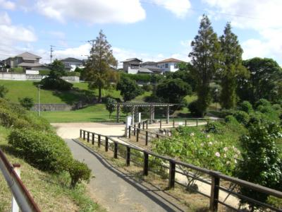 美和台緑地