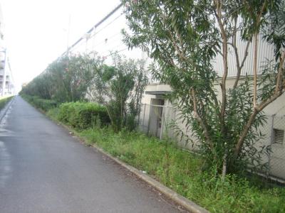 多の津２号緑地