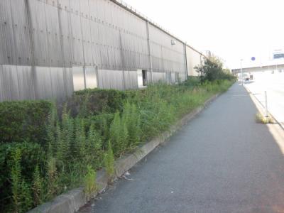 多の津６号緑地