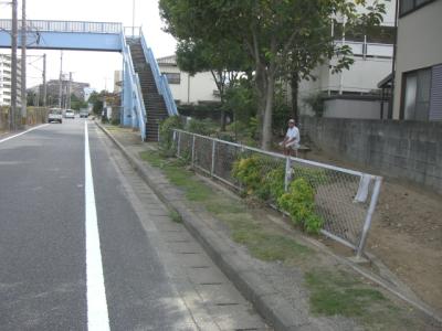 箱崎１号緑地