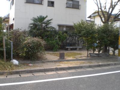 箱崎２号緑地
