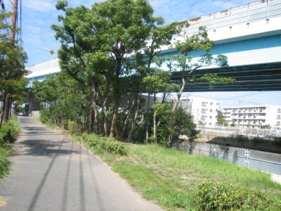 香椎浜３号緑地