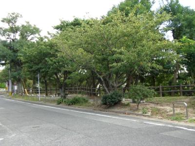 名島１号緑地