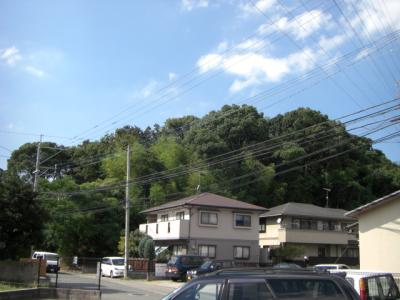 多々羅緑地