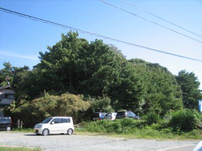 八田緑地