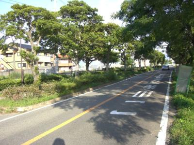 多々良川河畔公園