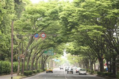 国体道路