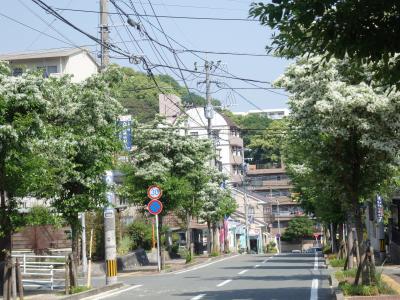 平尾霊園通り