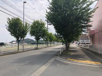 猪野土井線