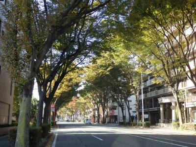 大橋駅前通り