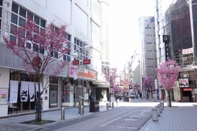 中洲中島町線