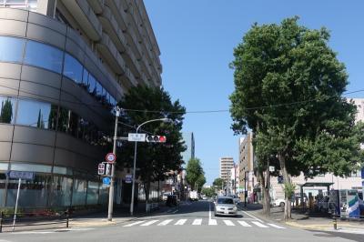 冷泉小沿線