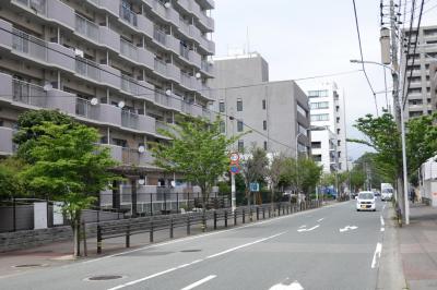 春住小横線