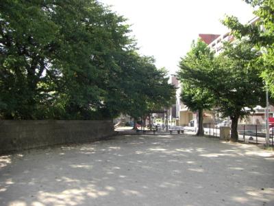 竹丘公園