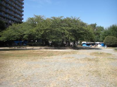 東領公園