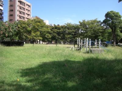 千代東公園