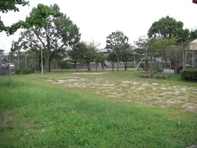 青木公園
