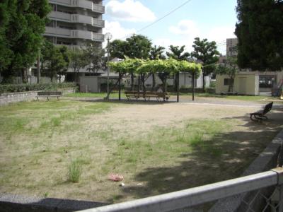 千代１号公園