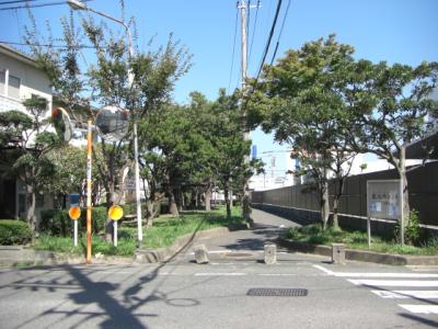 東光寺緑地