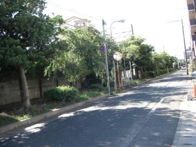 春日原４号緑地