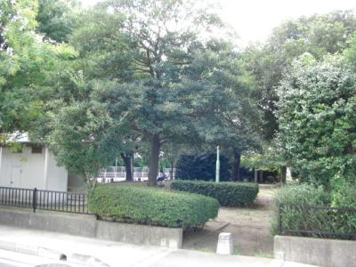 東吉塚１号緑地